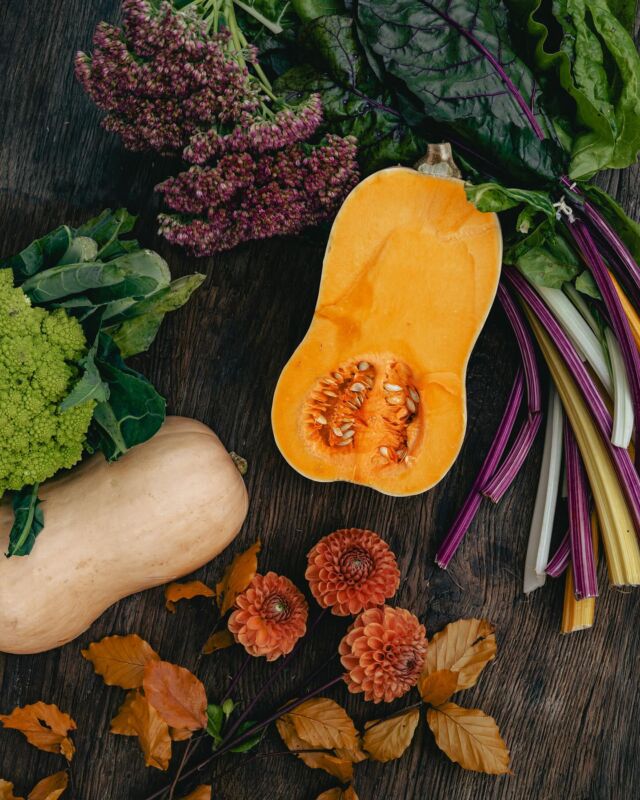 🍂 Autumn is here, and at KTCHN, we’re celebrating seasonal vegetables! Butternut, rhubarb, and other autumnal delights elevate our dishes, bringing you authentic and comforting flavors!

A special thanks to @choux_et_tournesols for their stunning bouquets and unique decorations, perfect for making your events even more special! 🌻✨

#AutumnFlavors #SeasonalVegetables #KTCHNTraiteur #EventDecor